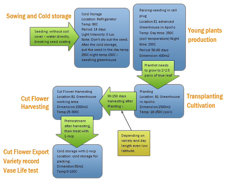 Sowing and Cold storage